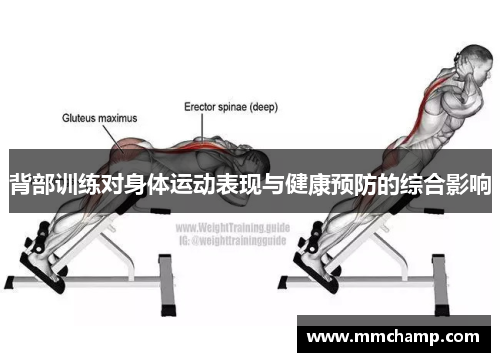 背部训练对身体运动表现与健康预防的综合影响